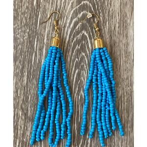 Turquoise Beaded Tassel Drop Earrings